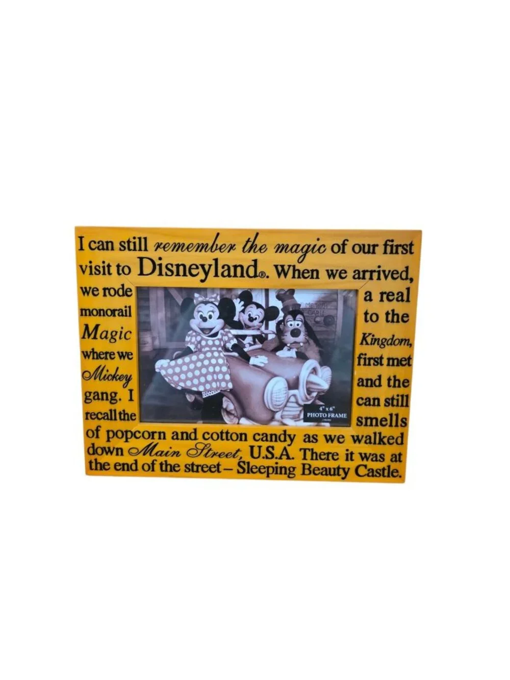 Walt Disney World Disneyland WDW 4 x 6 Wood Engraved Photo Picture Frame